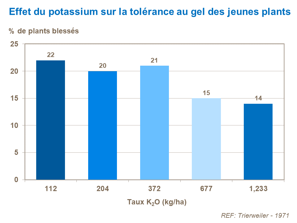 FR - K and corn frost tolerance.png
