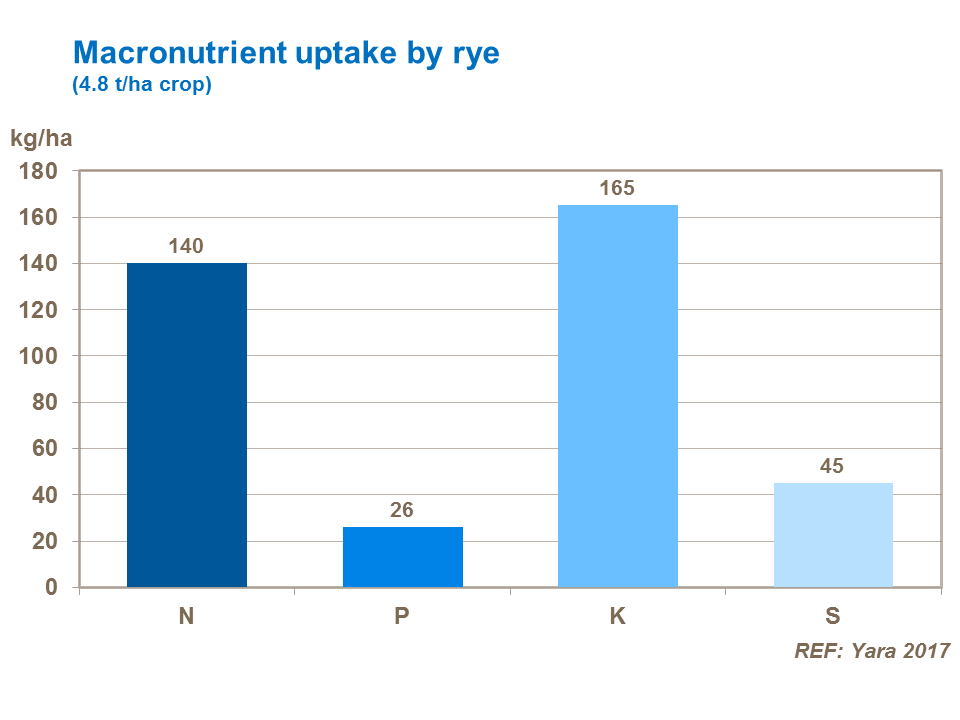 Macronutrient uptake by rye