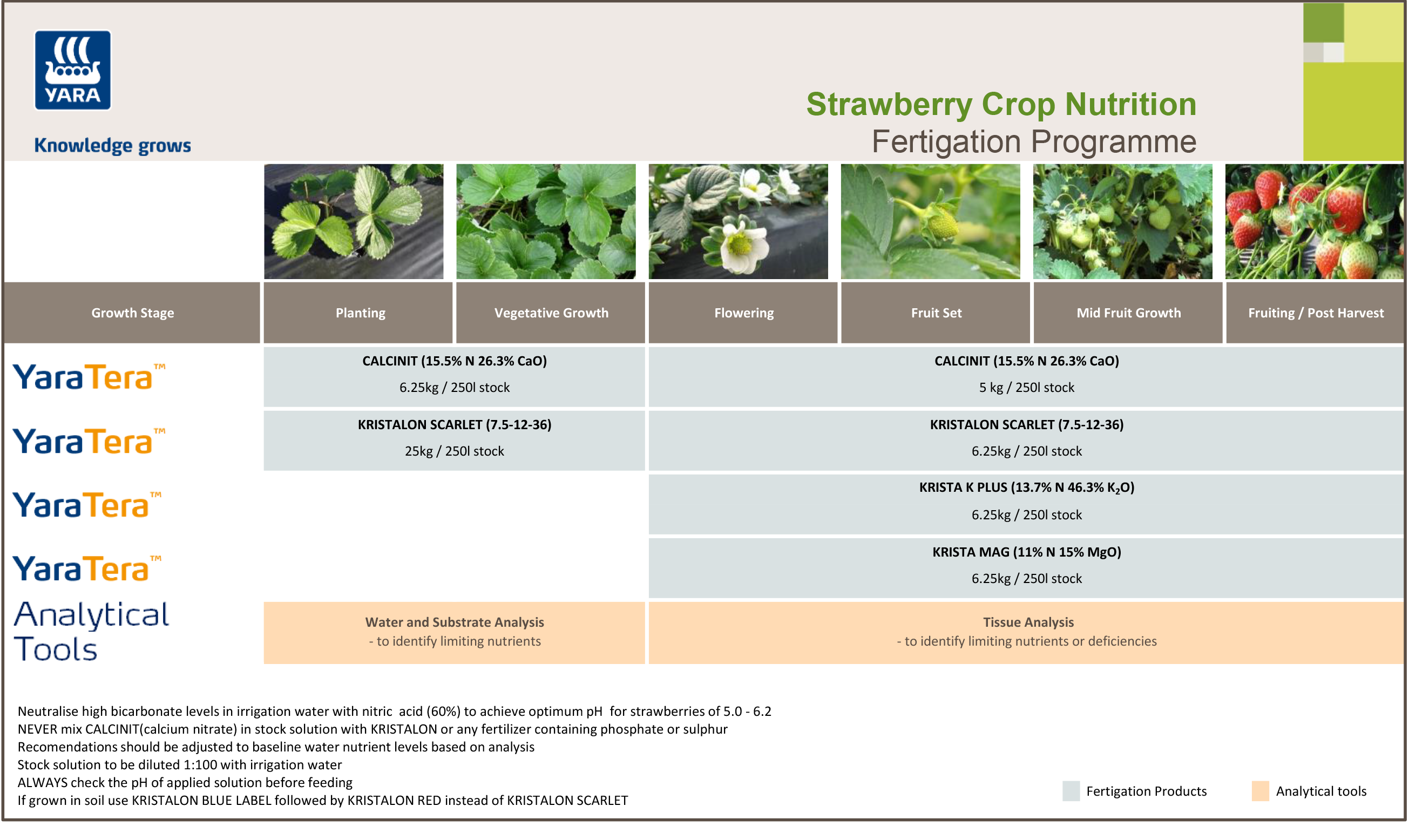 Strawberry fertigation programme