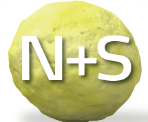 N + S granule