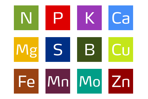 Rôle des Nutriments Selon le Stade de Croissance de l’Orge